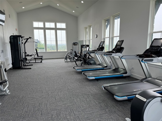 exercise room featuring high vaulted ceiling and carpet flooring