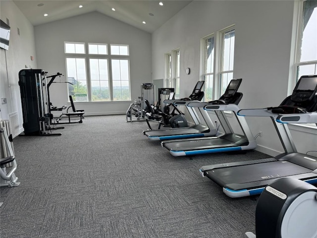 429 Mayapple Rd, Horseshoe Bay, TX 78657 - gym with baseboards, high vaulted ceiling, and recessed lighting