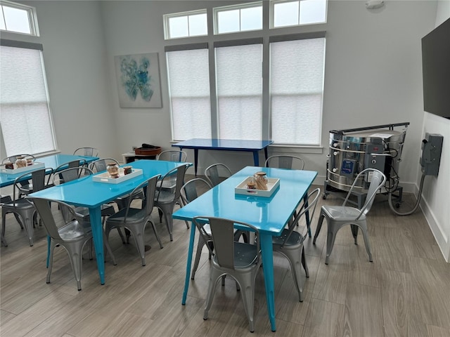 dining space featuring light hardwood / wood-style floors