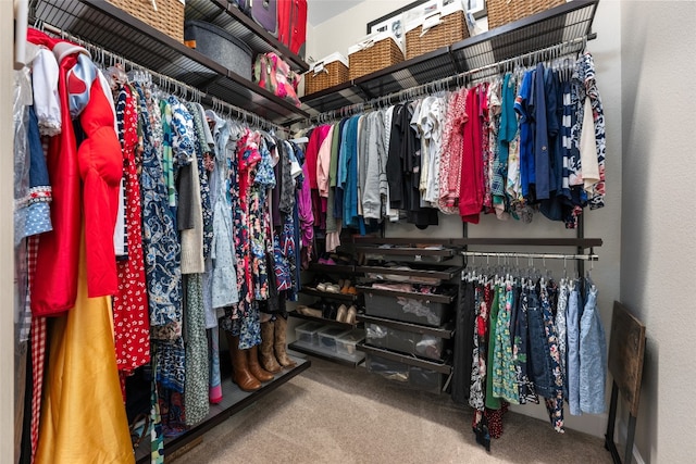 spacious closet with carpet