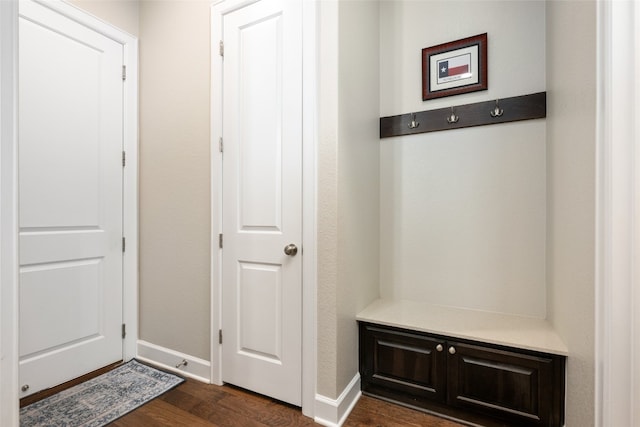 mudroom featuring dark wood-type flooring