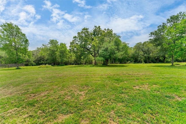 view of yard featuring a wooded view