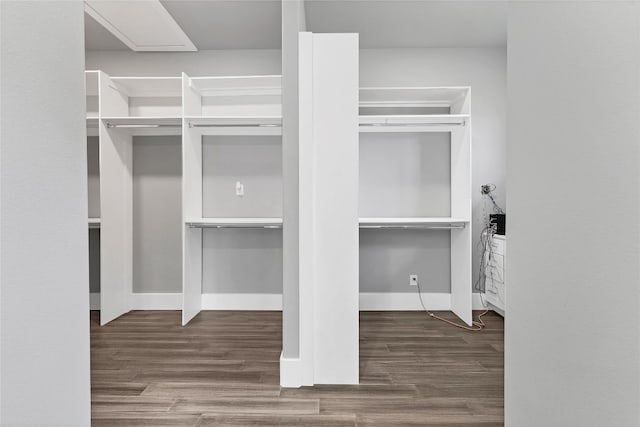 spacious closet featuring dark hardwood / wood-style floors