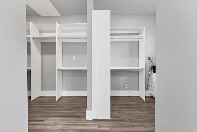 walk in closet with wood finished floors
