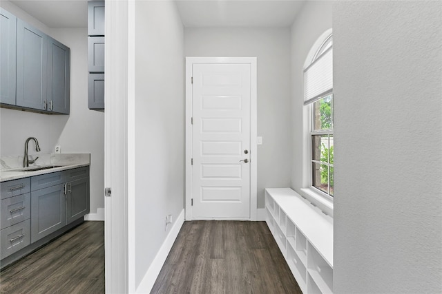 interior space featuring sink and dark hardwood / wood-style floors