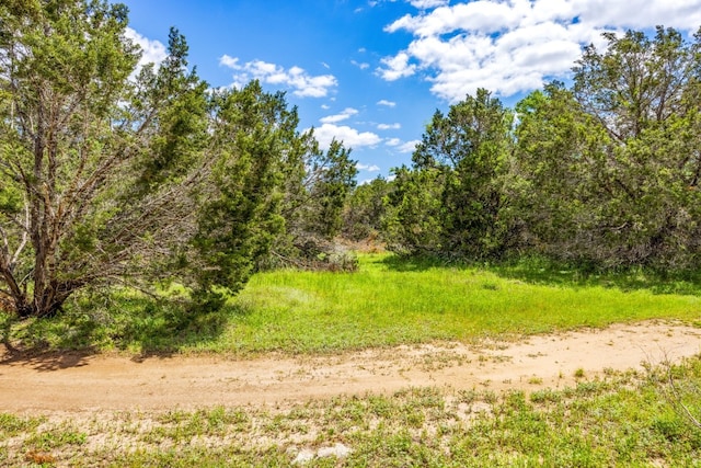 Listing photo 2 for LOT203 Summertime Cir, Wimberley TX 78676