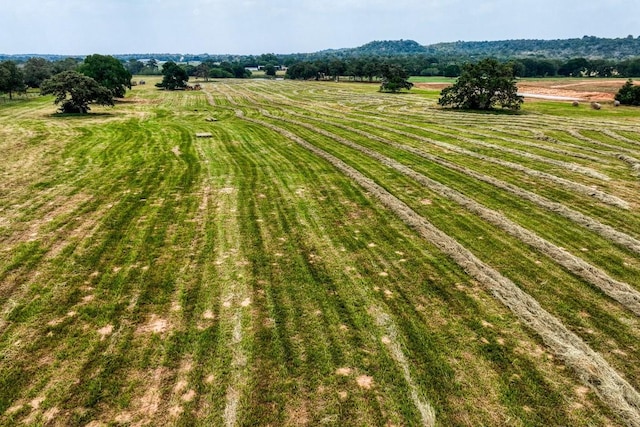 bird's eye view featuring a rural view