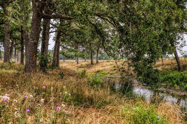 view of landscape featuring a water view