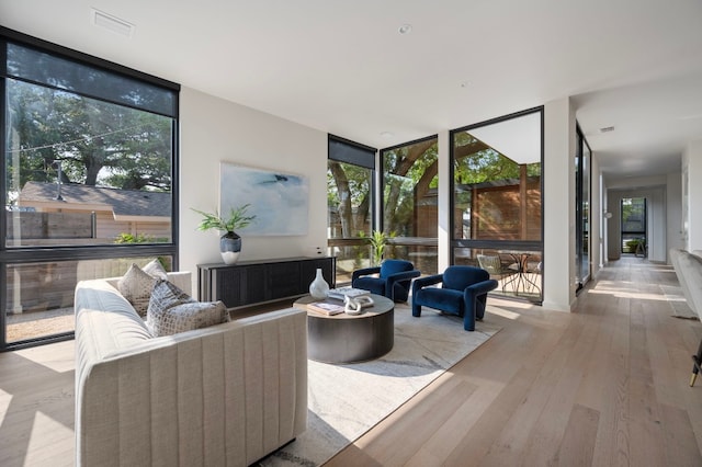 living room featuring expansive windows, a healthy amount of sunlight, and light hardwood / wood-style floors