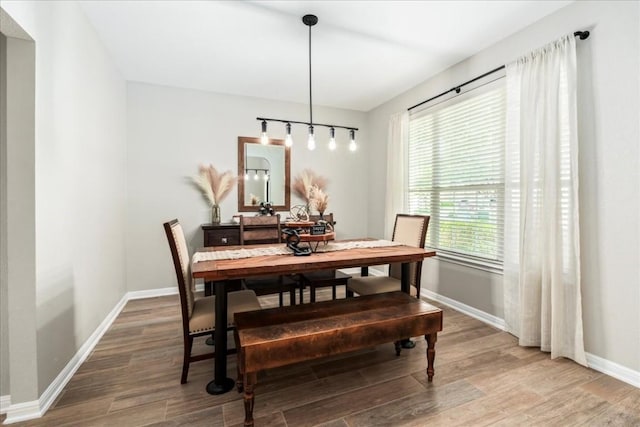 dining room featuring wood-type flooring