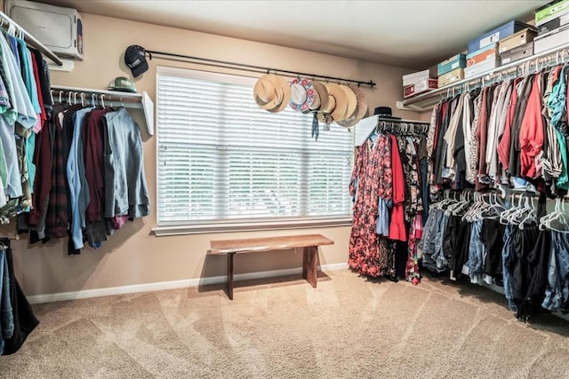 walk in closet featuring carpet flooring