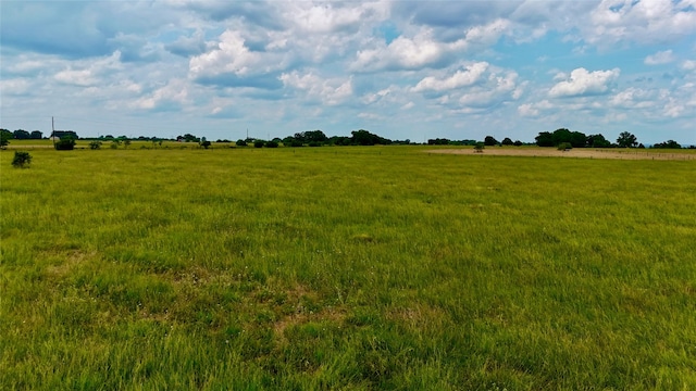 view of local wilderness with a rural view