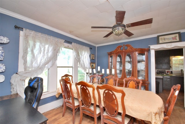 dining area featuring ornamental molding, light wood-type flooring, and ceiling fan