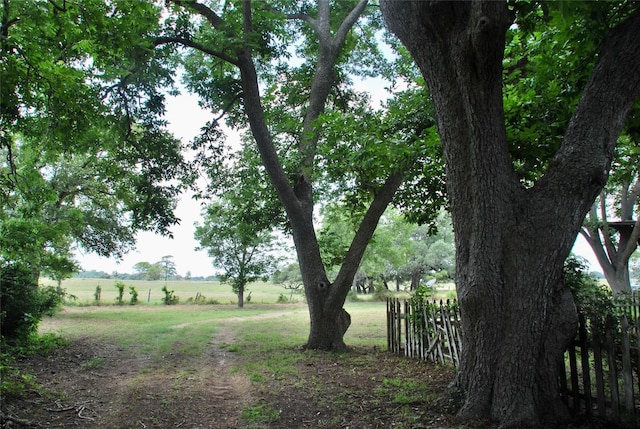 view of yard featuring a rural view