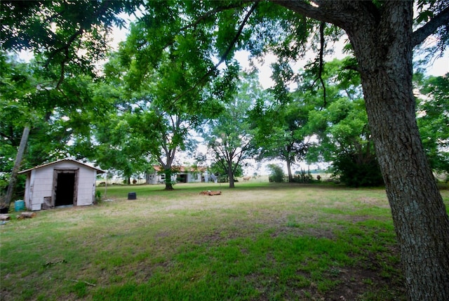 view of yard featuring a shed