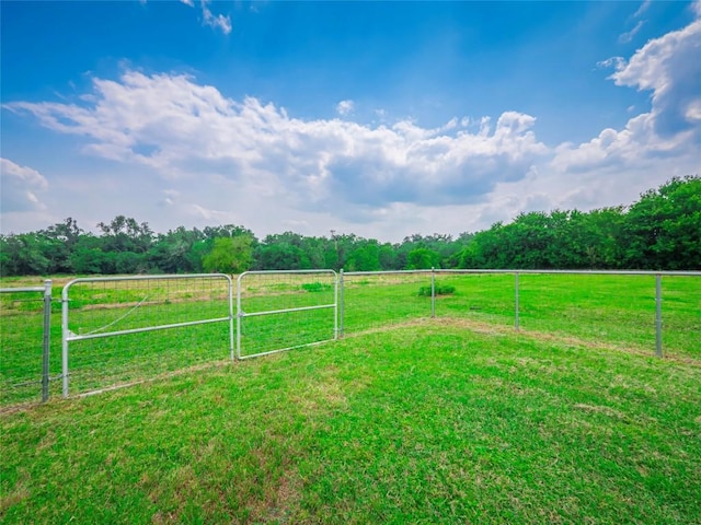 view of yard with a rural view