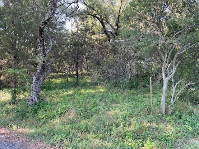 Listing photo 2 for Lot423 Indian Summer, Spicewood TX 78669