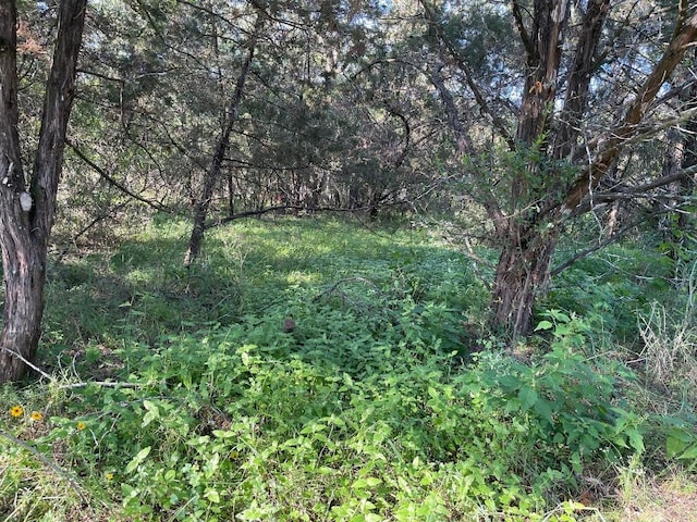 Lot423 Indian Summer, Spicewood TX, 78669 land for sale