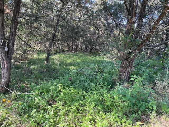 LOT423 Indian Summer, Spicewood, TX 78669 - photo 1