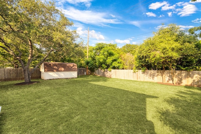 view of yard with a shed