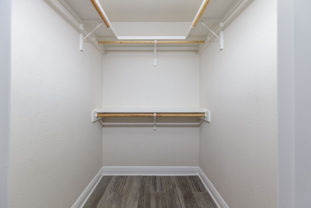 walk in closet featuring dark hardwood / wood-style floors