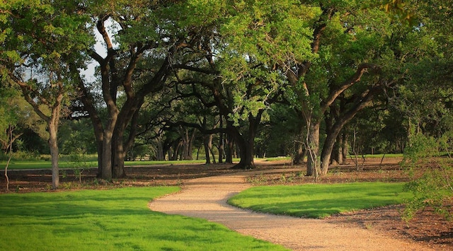 view of property's community with a lawn