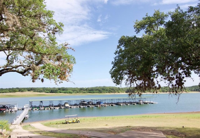 dock area with a water view