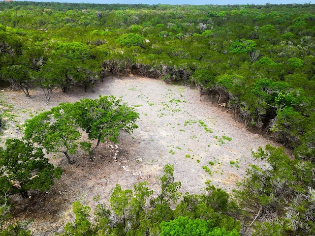 3500 Lohmans Ford Rd Lot 72, Lago Vista, TX 78645 - photo 9