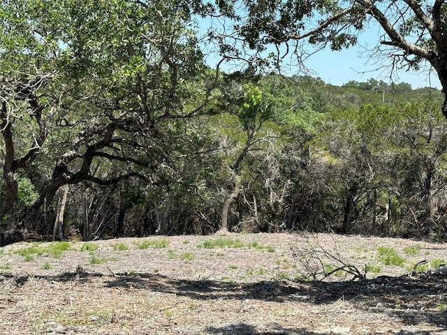 3500 Lohmans Ford Rd Lot 72, Lago Vista, TX 78645 - photo 15