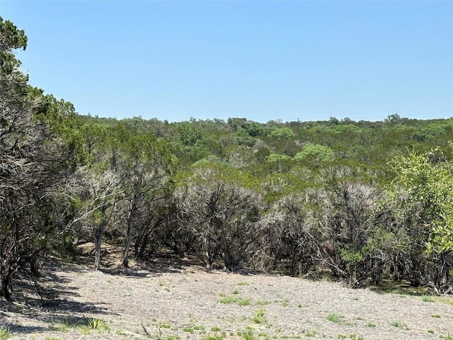 3500 Lohmans Ford Rd Lot 72, Lago Vista, TX 78645 - photo 16