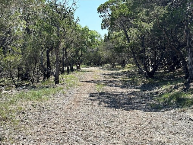 3500 Lohmans Ford Rd Lot 72, Lago Vista, TX 78645 - photo 2