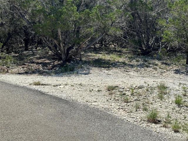 3500 Lohmans Ford Rd Lot 72, Lago Vista, TX 78645 - photo 12