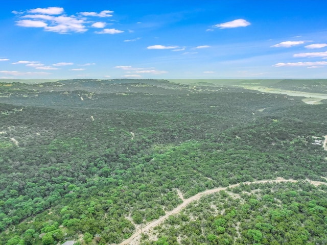 18408 Old Burnet Rd, Jonestown TX, 78645 land for sale