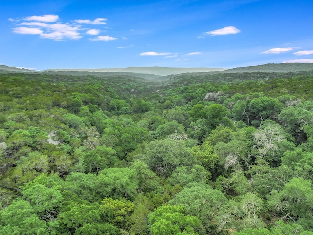 Listing photo 3 for 18408 Old Burnet Rd Lot 2, Jonestown TX 78645