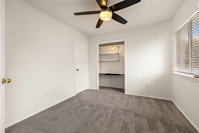 unfurnished bedroom with ceiling fan, a walk in closet, dark colored carpet, and multiple windows