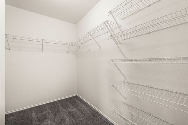 walk in closet with carpet flooring