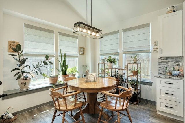 dining space featuring dark wood-type flooring