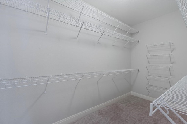 13909 Yellow Bell Bnd, Austin, TX 78738 - photo 21