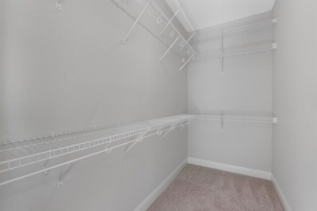 13909 Yellow Bell Bnd, Austin, TX 78738 - photo 22