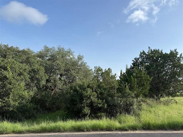 LotW27062 Mountain Leather, Horseshoe Bay, TX 78657 - photo 2