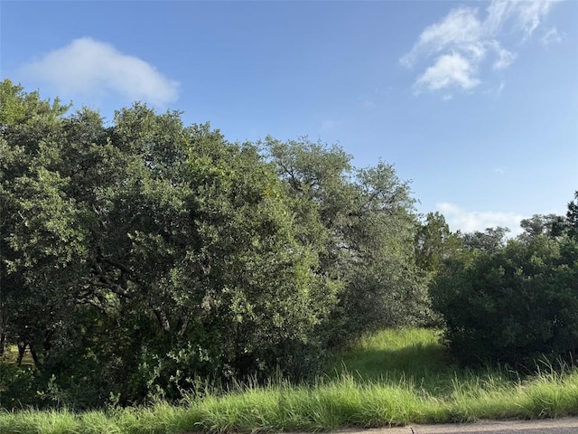LotW27062 Mountain Leather, Horseshoe Bay, TX 78657 - photo 5