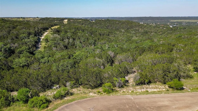 Listing photo 2 for LOT205B Sunset Peak, Bertram TX 78605