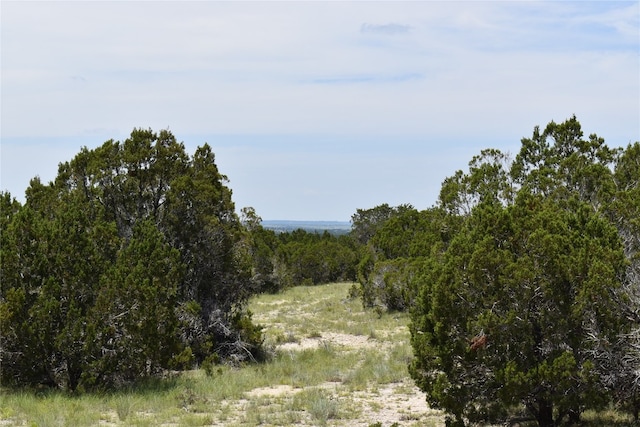 Listing photo 3 for 122 Reserve Way, Lampasas TX 76550