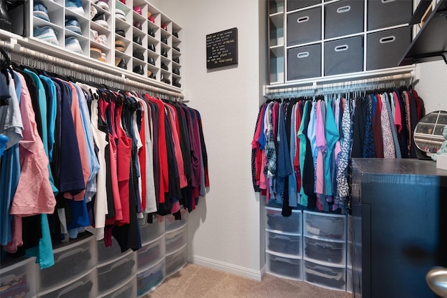 walk in closet with carpet floors