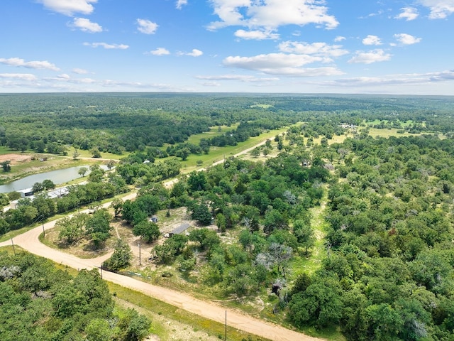 11790 Silver Springs Rd, Rockdale TX, 76567 land for sale