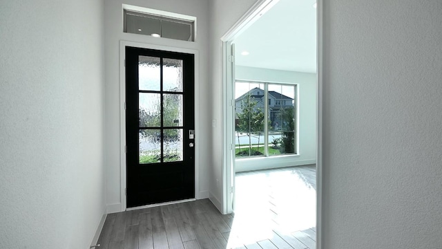 doorway to outside featuring dark hardwood / wood-style floors and a healthy amount of sunlight