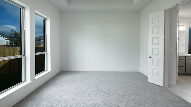 unfurnished room featuring light colored carpet and a healthy amount of sunlight