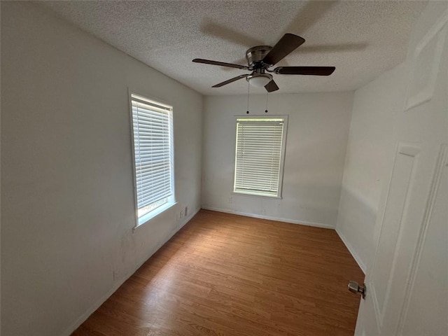 1133 Saucedo St, Austin, TX 78721 - photo 5