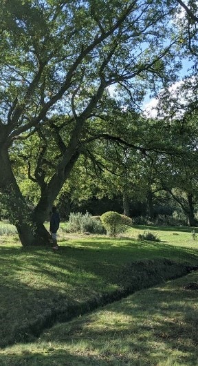 view of nature