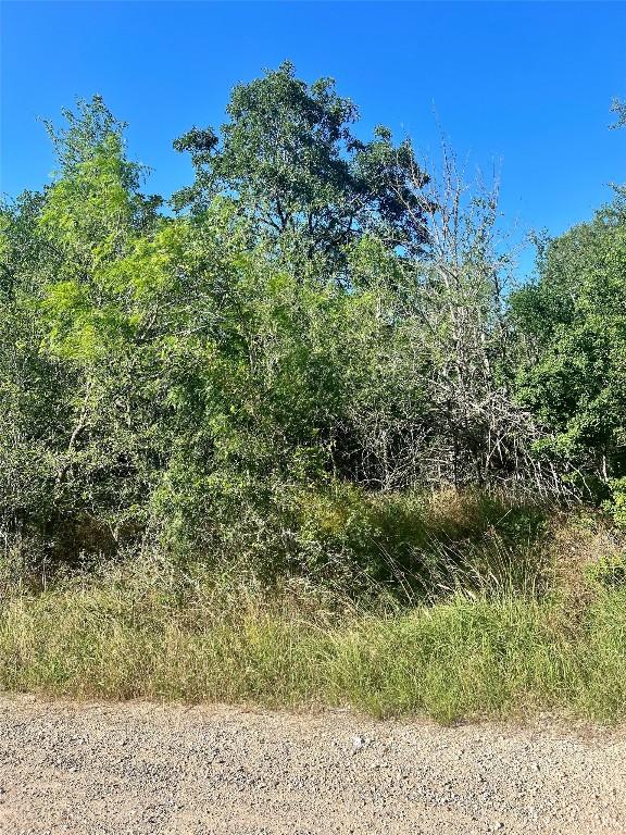 179 Helemano Dr, Bastrop, TX 78602